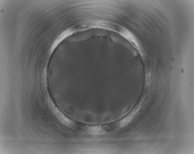 X0000081440798200701261846