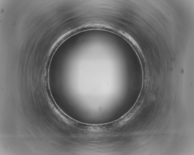 X0000081440799200701261846