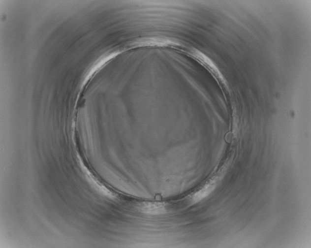X0000081440802200701261846