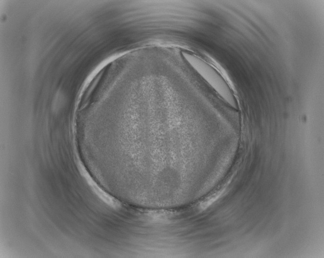 X0000081440803200701261846