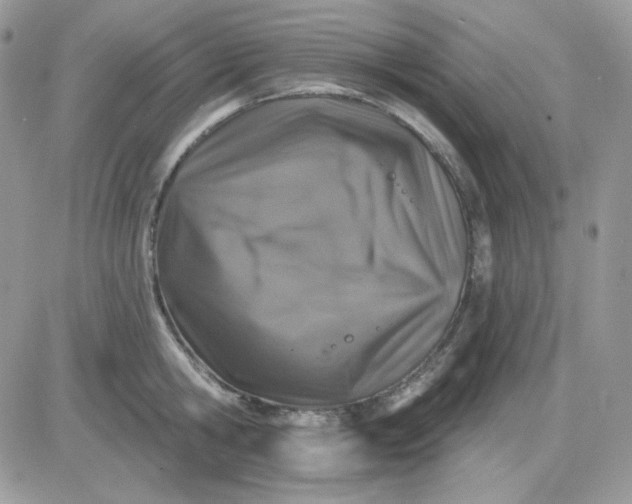 X0000081440806200701261846