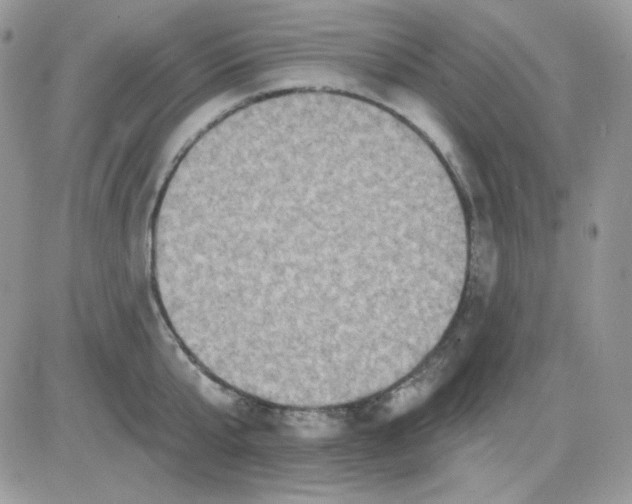 X0000081440807200701261846