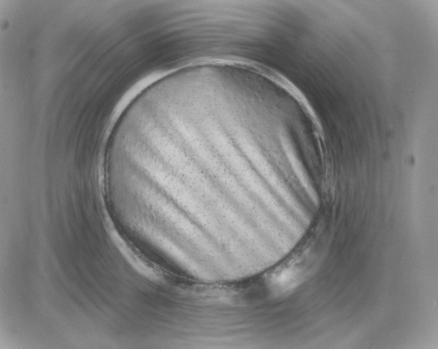 X0000081440811200701261846