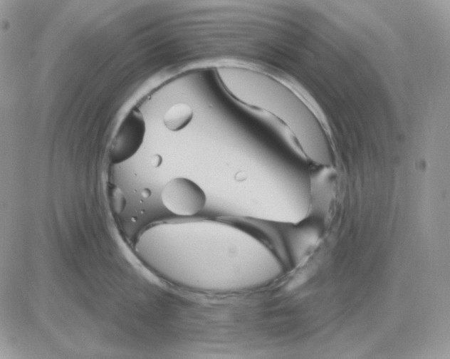 X0000081440813200701261846