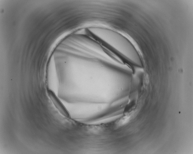 X0000081440815200701261846