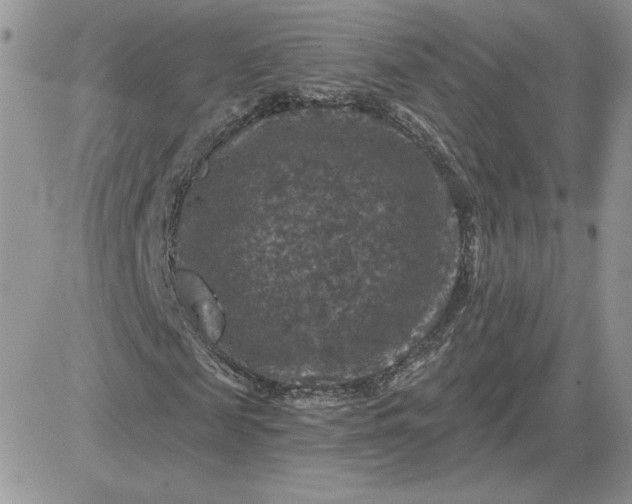X0000081440817200701261845