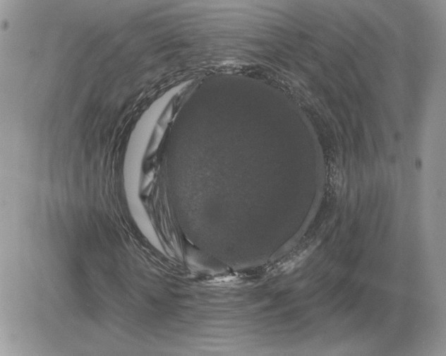 X0000081440818200701261845