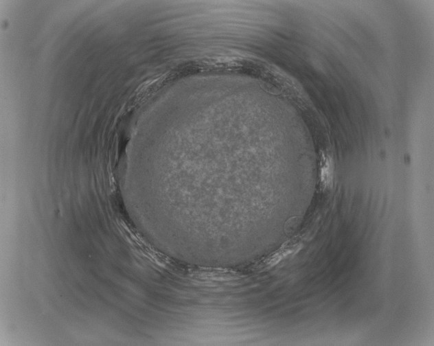X0000081440819200701261845