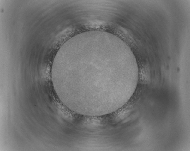 X0000081440820200701261845