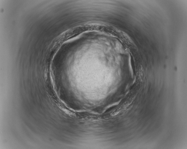 X0000081440821200701261845