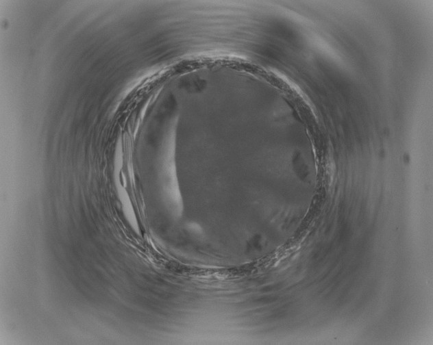 X0000081440823200701261845