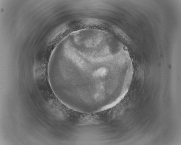 X0000081440824200701261845