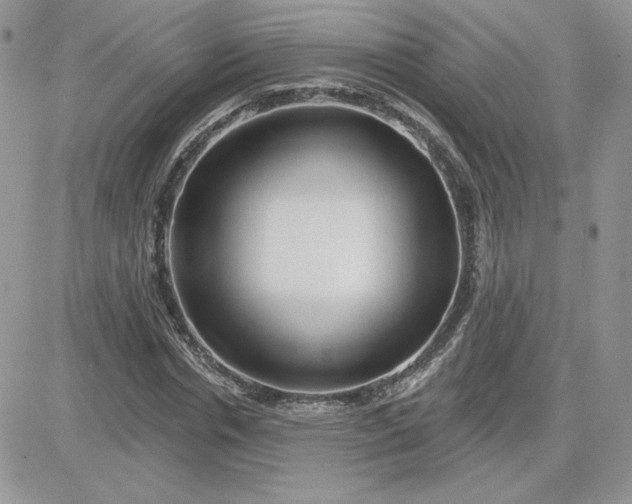 X0000081440826200701261845