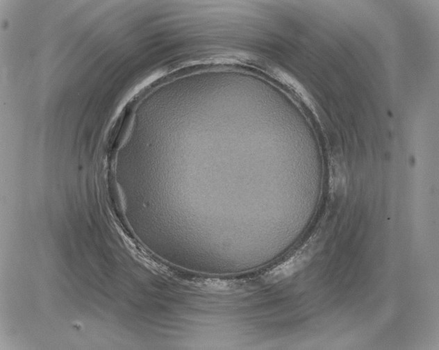 X0000081440827200701261845