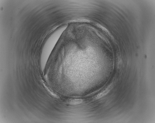X0000081440833200701261845