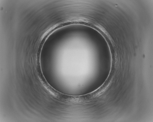 X0000081440834200701261845