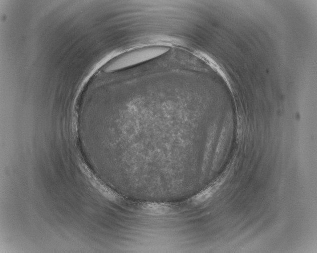 X0000081440835200701261845
