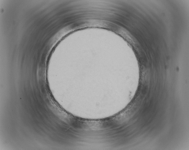 X0000081440836200701261845