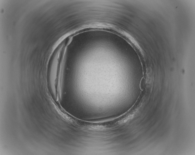 X0000081440837200701261845