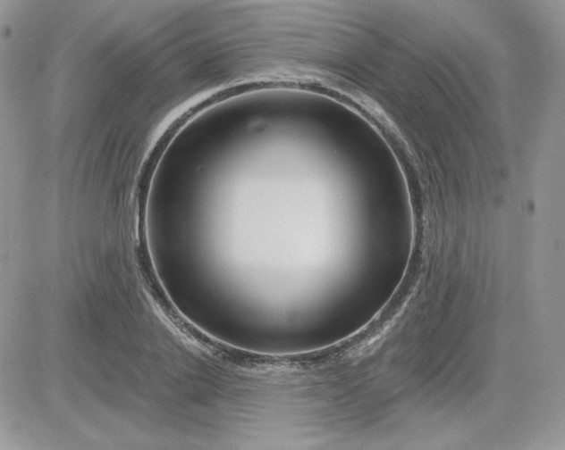 X0000081440838200701261845