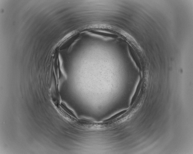 X0000081440841200701261845