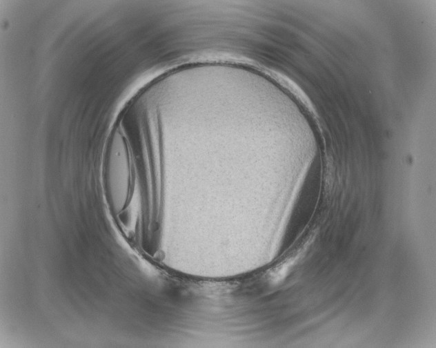 X0000081440847200701261846