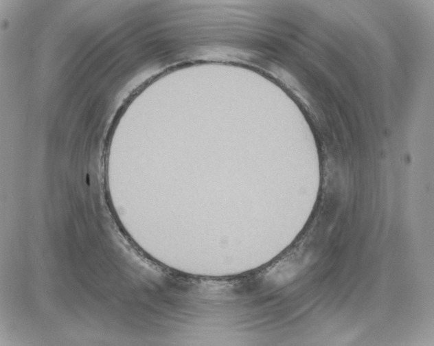X0000081440848200701261846