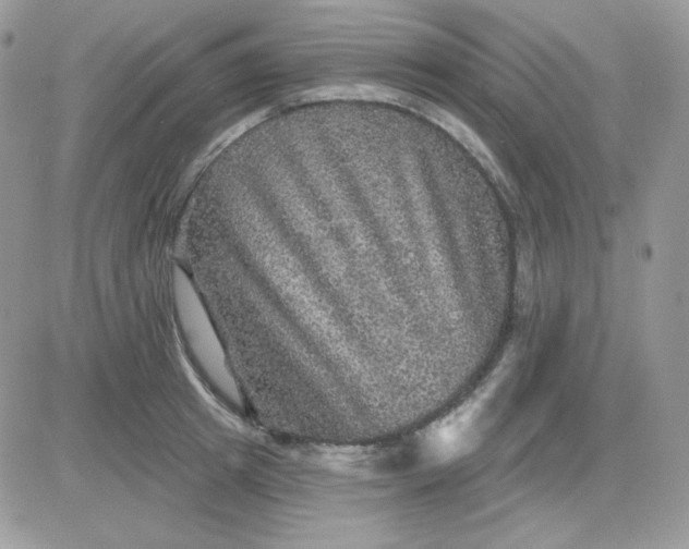 X0000081440849200701261846