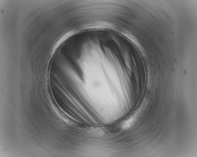 X0000081440850200701261846