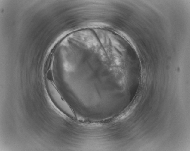 X0000081440851200701261846