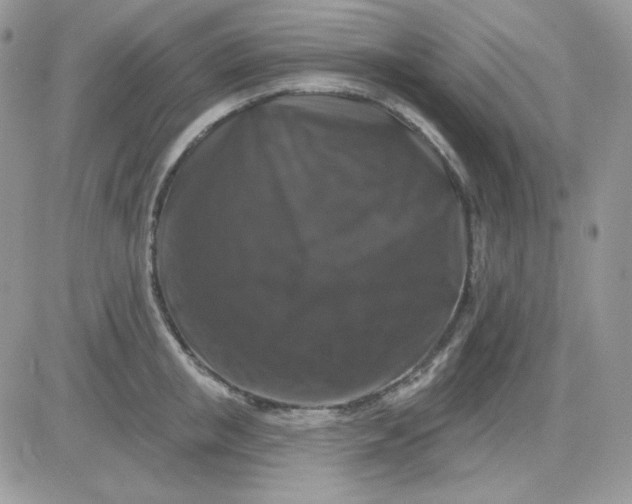 X0000081440853200701261846
