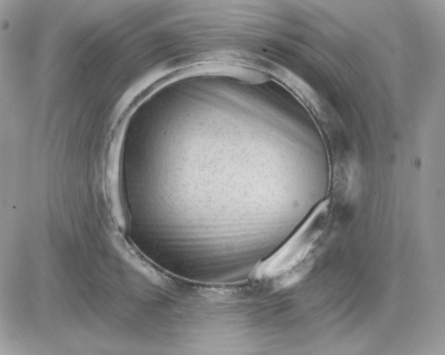 X0000081440854200701261846