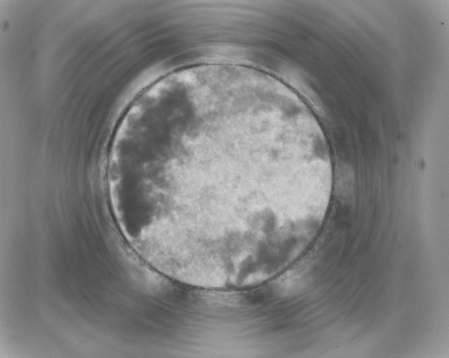 X0000081440856200701261846