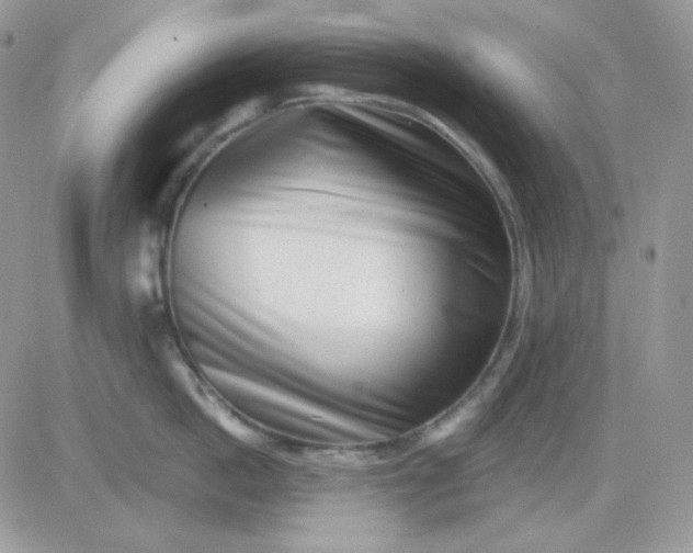 X0000081440862200701261846
