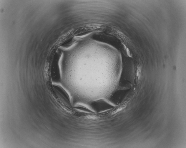 X0000081440867200701261845