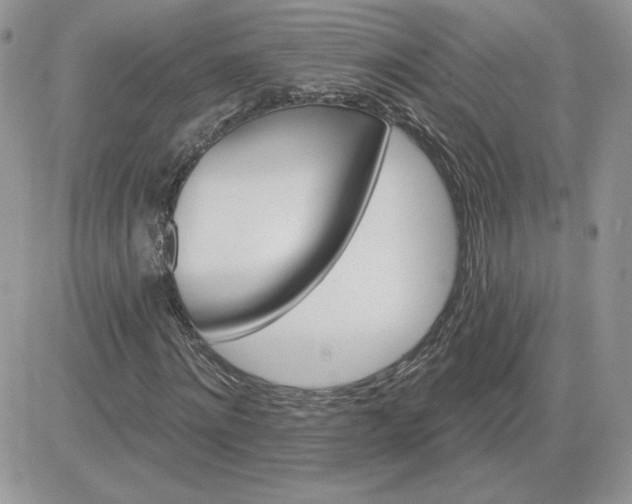 X0000081440868200701261845