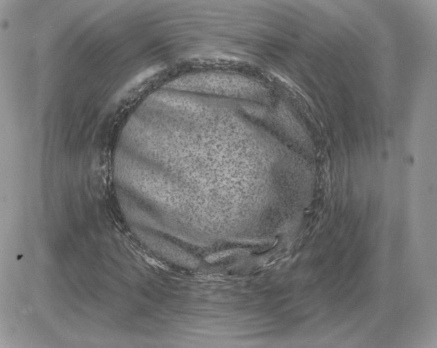 X0000081440870200701261845
