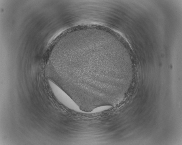 X0000081440871200701261845