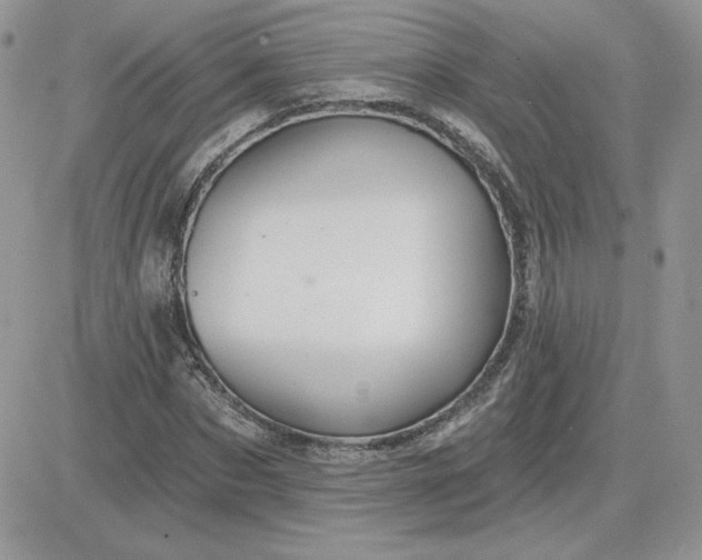 X0000081440873200701261845