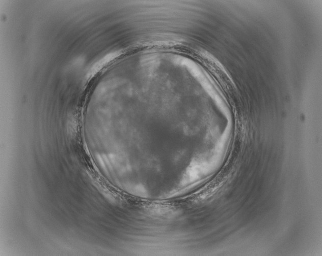 X0000081440874200701261845
