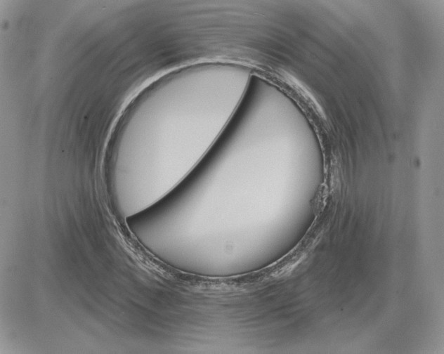 X0000081440876200701261845