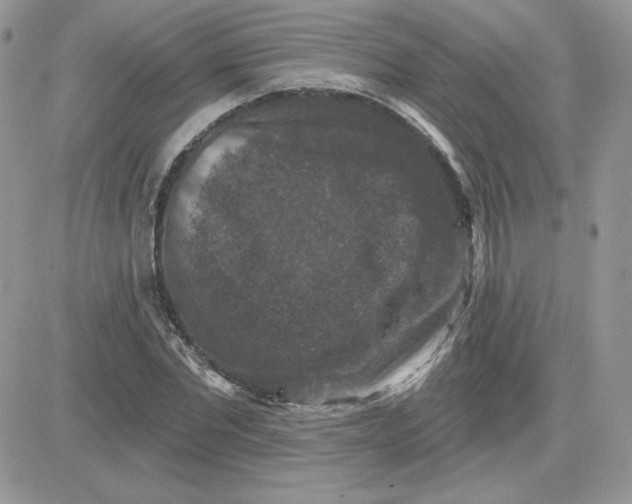 X0000081440877200701261845