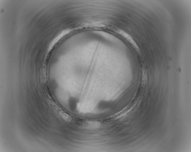 X0000081440878200701261845