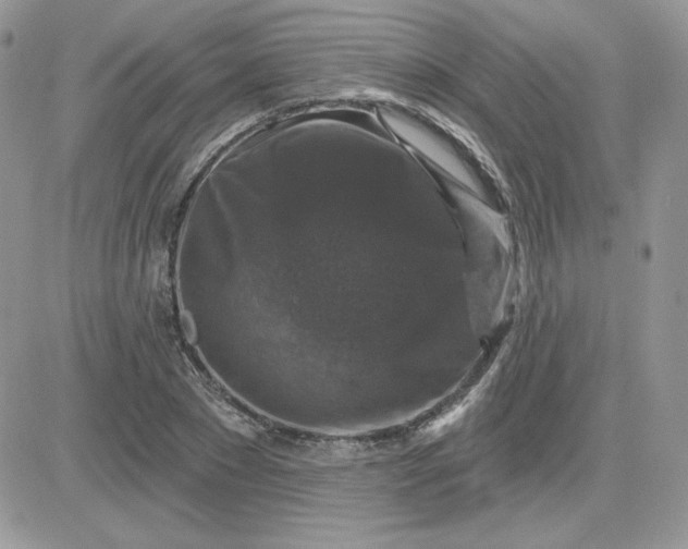 X0000081440881200701261845