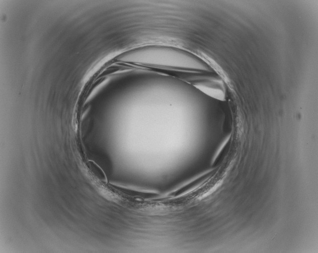 X0000081440885200701261845