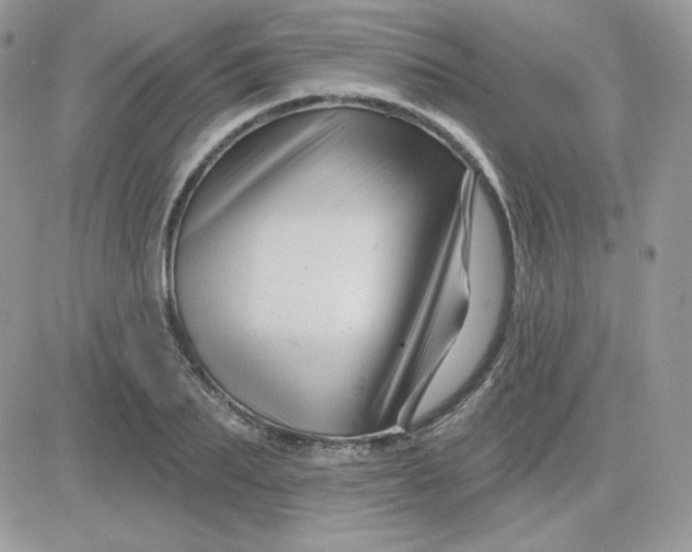 X0000081440887200701261845