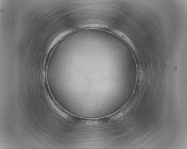 X0000081440890200701261845