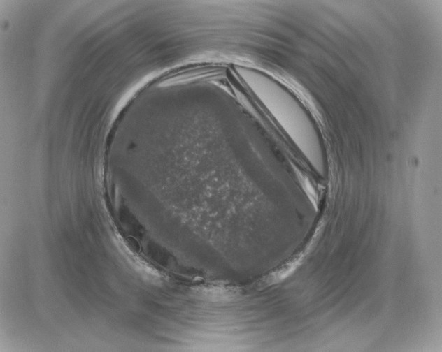 X0000081440896200701261845