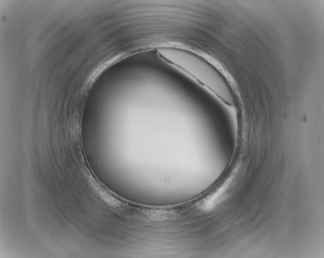 X0000081440897200701261845