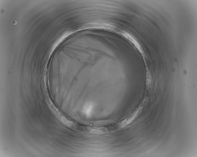X0000081440899200701261844